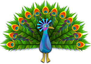 peacock-154128_1280