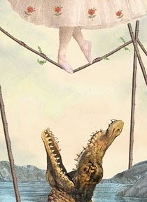 tightrope aligator